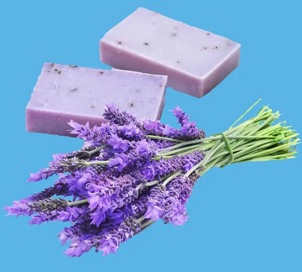 Lavender soap bars – Learn French while exploring Provence and local traditions