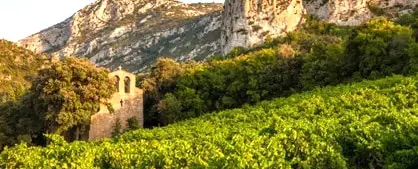 Old stone bell tower surrounded by lush vineyards at the foot of the mountains in Provence, France