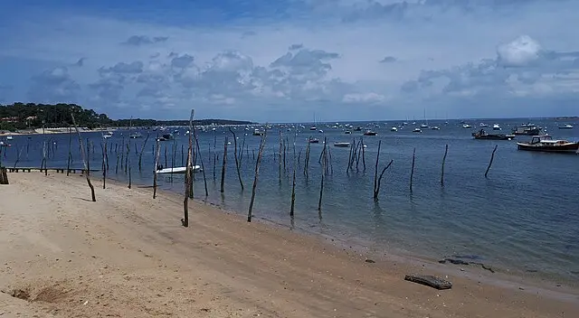 Oyster farming poles in the shallow waters of Arcachon Bay, with boats and sandy beach in southwest France