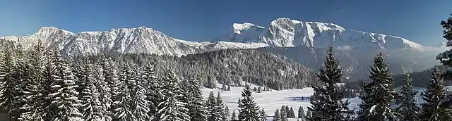 Panoramic winter view of Chamrousse with snow-covered pine trees and alpine mountains