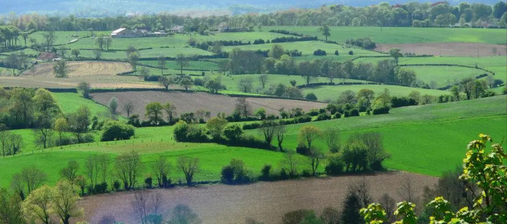 Rolling green fields and hedgerows of the Normandy bocage countryside close to Caen, France