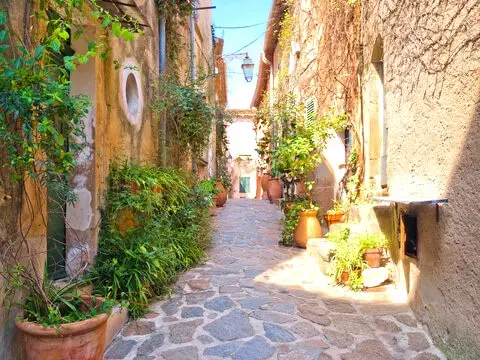 Sunny alley with stone walls and flower pots in a Provencal village