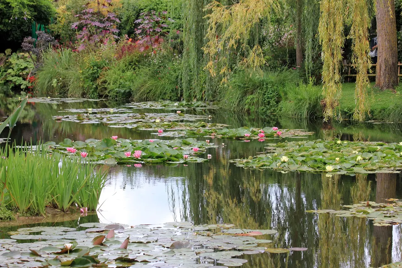 Water lilies and lush greenery in the tranquil pond of Claude Monet’s garden in Giverny, France