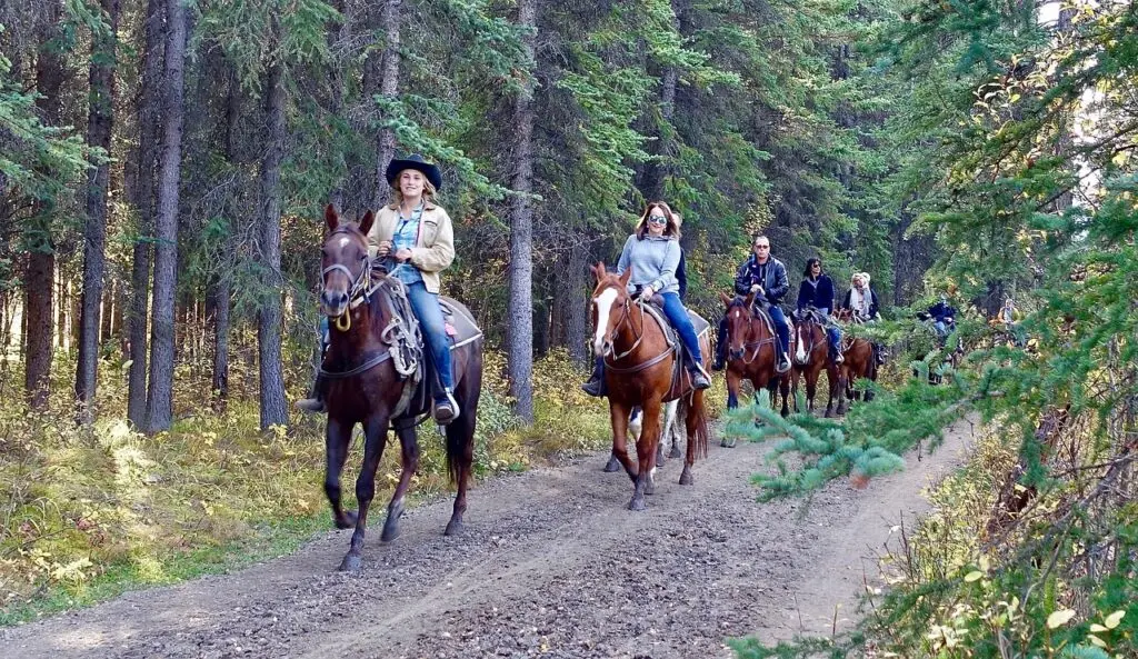 Group of people riding horses through a forest trail – horseback riding in nature with a guide