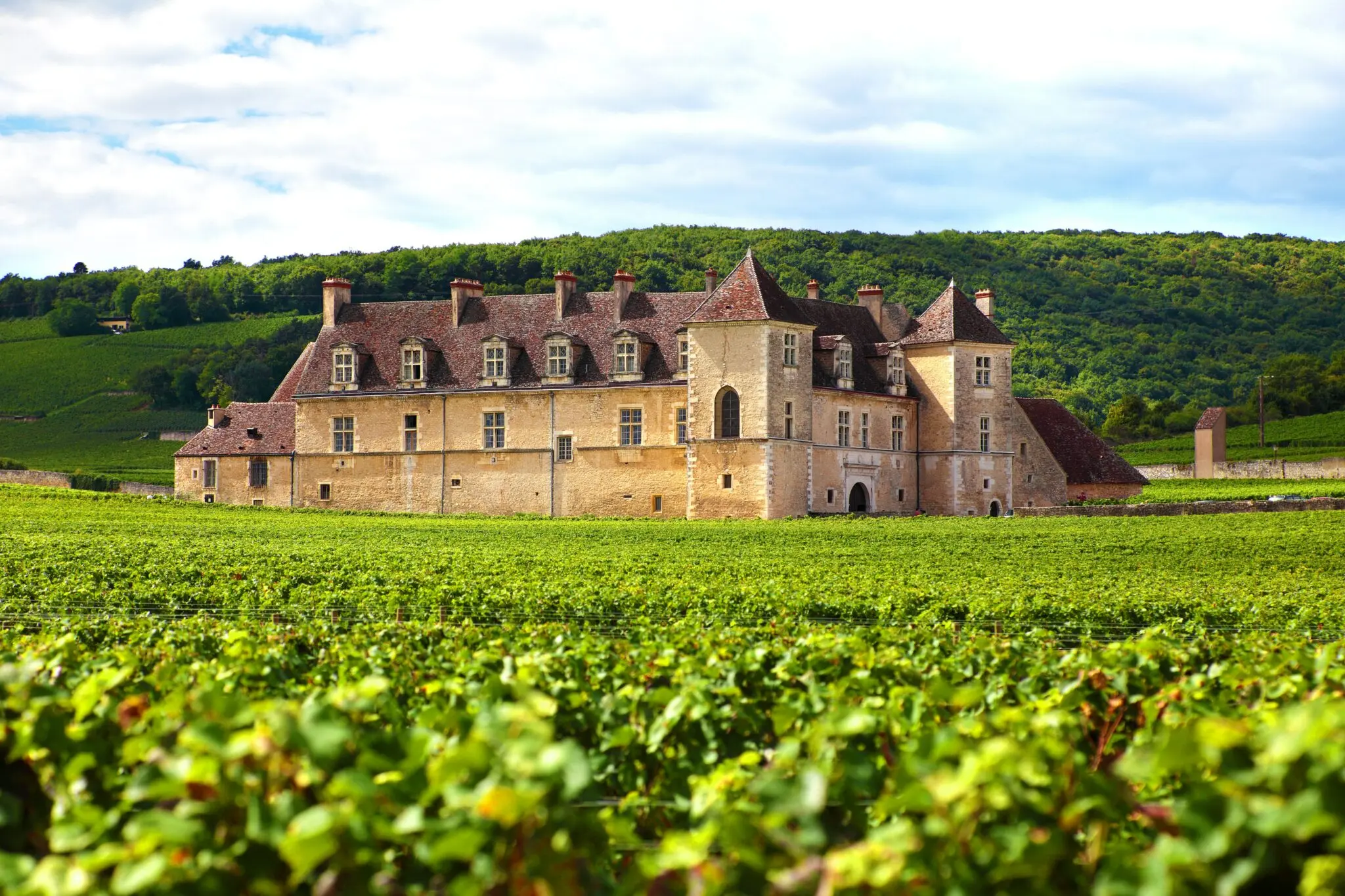 View of the Château du Clos de Vougeot surrounded by green vineyards in Burgundy, France